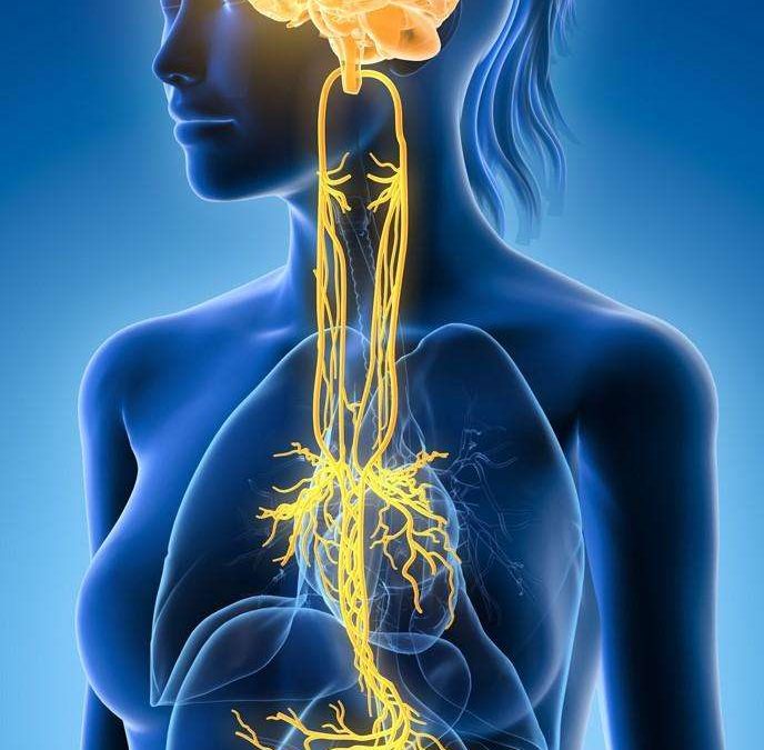 3 consejos para reducir la inflamación a través del nervio vago