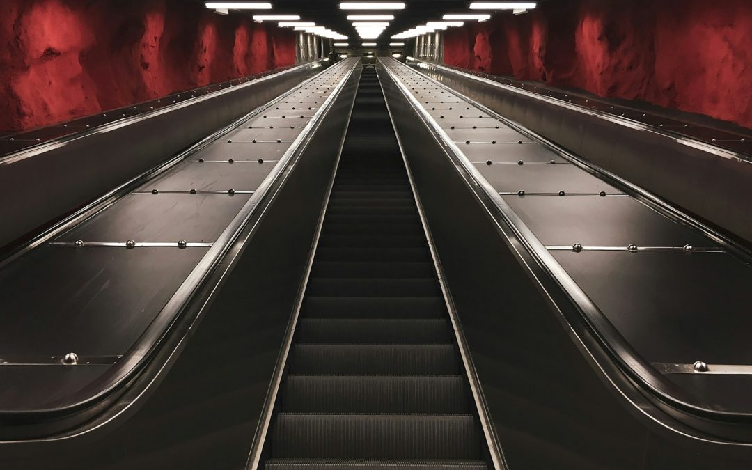 Tácticas que las empresas impulsadas por IA utilizan para escalar.